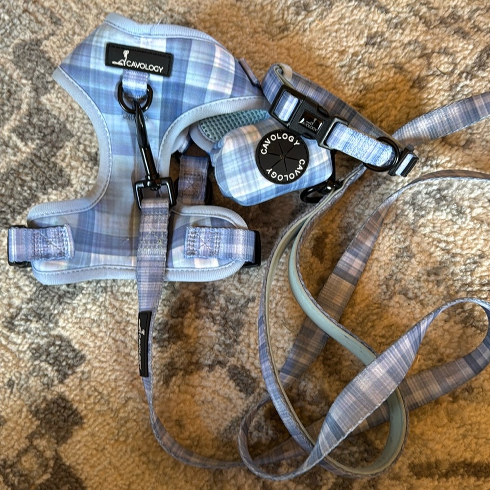 Dog Harness and Leash Set